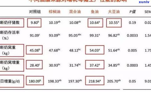 普洱茶容易饿：原因解析与应对策略