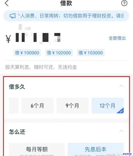 闪银部分还款能否期？目前情况如何？