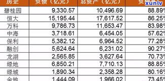 商业银行债务：理解其性质、构成及评级围