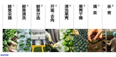 深入了解小青柑普洱茶 *** 工艺流程：从采摘到成品的全过程解析