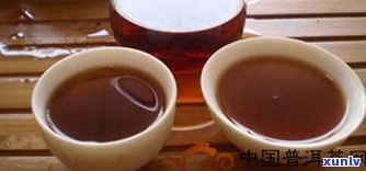 同号普洱茶介绍-同号普洱茶怎么样