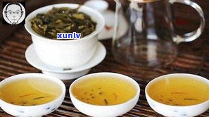 象王山普洱茶口感究竟如何？门店地址及价目表一探究竟