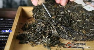 宝和祥倚邦普洱茶-宝和祥普洱茶介绍