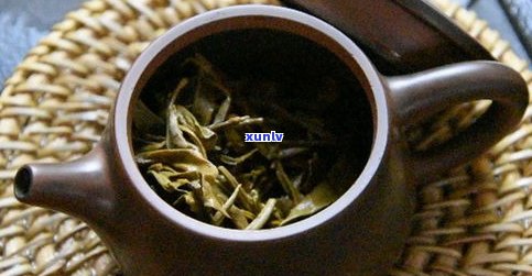 大树茶与普洱茶有何不同？详解两者区别与联系