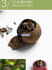 新陈皮普洱茶手绘-新陈皮普洱茶手绘图片