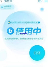 省呗没逾期不能循环借吗-省呗没有逾期为什么有额度都进不出了?