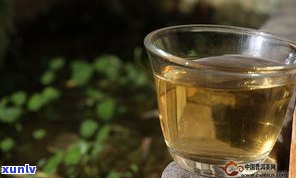 多美普洱茶使用 *** 及功效：生熟茶区别、正确冲泡方式全解析