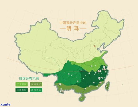 普洱思茶叶：产区、市场与价格全解析