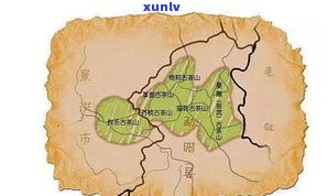 普洱思茶叶：产区、市场与价格全解析