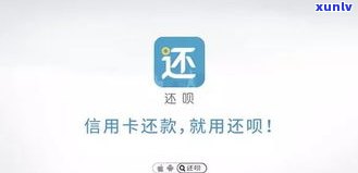 省呗还不起了可以协商吗-省呗还不上又不可以协商