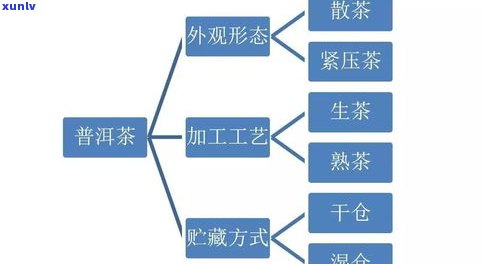 普洱茶一站式管理-普洱茶规管理系统