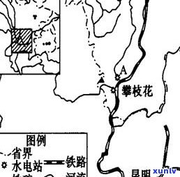 开远市存放普洱茶树的地方及其市场规模分析