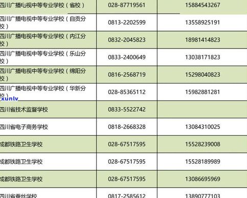 全面了解玉石分类与价格：关系、表格、图片及详解