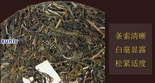 云南玉龙祥茶业普洱茶价格全揭秘，2019最新报价一览！