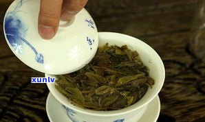 半熟普洱茶能喝吗？了解其口感、饮用 *** 及安全问题