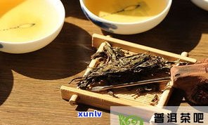 云南普洱茶原产地斗茶大赛：2021年度获奖茶品揭晓，揭示普洱斗茶规则与云南斗茶大会况