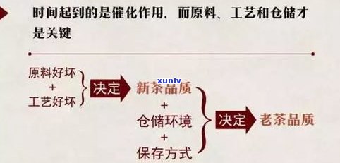 购买藏普洱茶的标准请求：品质、年限、保存  等关键要素需考虑