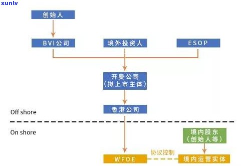 无公害茶叶：定义、层次与含义全解析