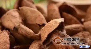 小青桔陈皮普洱茶-小青桔陈皮普洱茶的功效