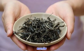 景雨山号普洱茶业：探索云南雨林普洱茶的魅力与历