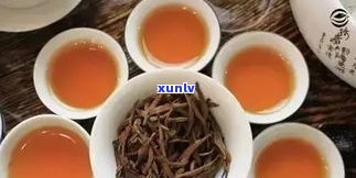 同庆堂普洱茶产品-同庆堂普洱茶产品介绍