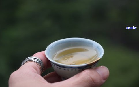 首乌可以泡茶喝吗？了解其功效与泡法，以及是否安全
