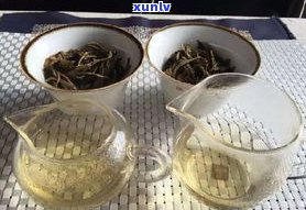 揭示普洱茶的三大秘密：、品种与奥秘