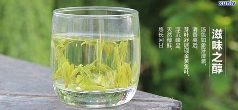 黑龙潭绿茶云南产地价格及品质评价