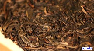 普洱茶紫娟品种介绍及口感：全面解析紫娟普洱茶的特点与分类