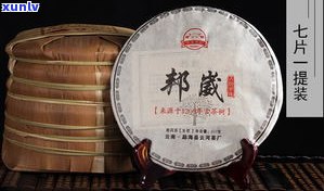 勐海福海茶厂7576系列：经典7536与新锐七子饼7536、7576全面解析