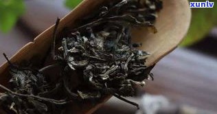 普洱茶有没有日期-普洱茶有没有日期和保质期