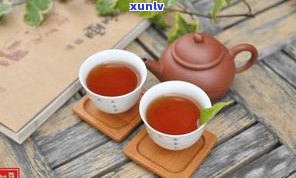 普洱茶金芽是什么？熟茶口感及与普洱熟茶的区别