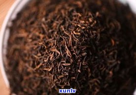 特级芽头的普洱茶：品种、功效与百科全解