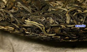 特级芽头的普洱茶品种与介绍