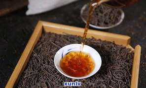 特级芽头的普洱茶品种与介绍