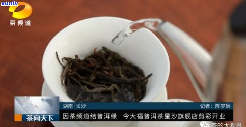 今大福普洱茶礼盒-今大福 普洱茶