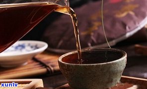 熟普洱茶的十大忌讳是什么？了解并避免这些误区