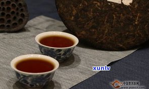 普洱茶获得的荣誉：详细盘点与介绍