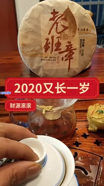 普洱茶的产地与集散地在哪里？