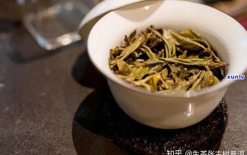 单株普洱茶怎么样？口感如何？详解单株普洱茶的特点与魅力