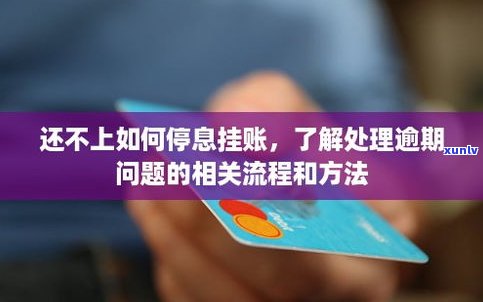 停息挂账自己无法办理吗-停息挂账自己无法办理吗怎么办