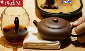 普洱茶买哪种？如何选择性价比高的茶叶类型？