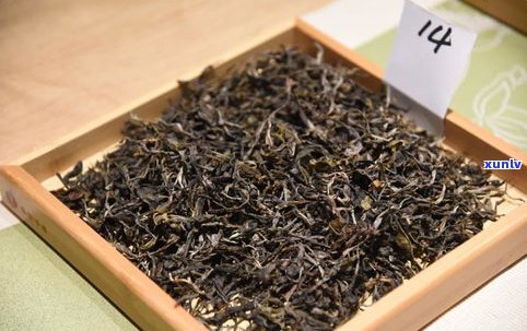 纸箐山普洱茶价格多少？了解纸山箐古树茶普洱茶的特点及价格行情