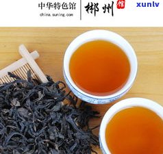 纸山青普洱茶价格：纸山箐普洱茶、纸山箐古树茶普洱茶、纸山箐茶叶及古树茶的价格全在这里！