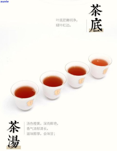 御举茗金奖普洱茶-御举茗普洱茶价格