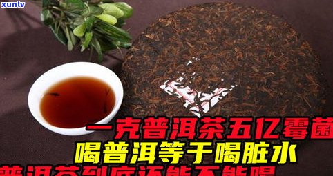 普洱茶回潮能喝嘛-普洱茶回潮能喝嘛有吗