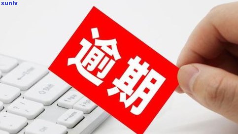 停息分期结果：熟悉危害、利息与逾期，是不是需付手续费？