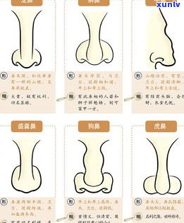 如何鉴别玉原石的好坏？看图片、图解全攻略！