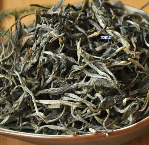 薄荷塘古树纯料普洱茶价格、特点与来历全解析