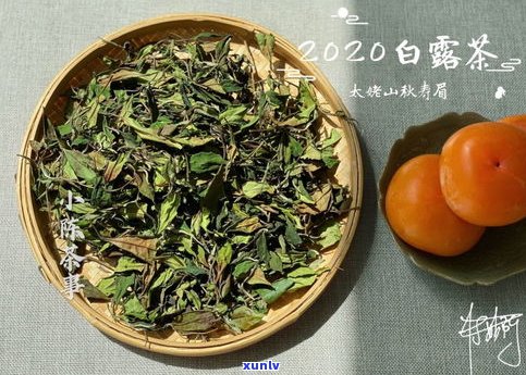 白牡丹普洱茶特点-白牡丹普洱茶特点是什么